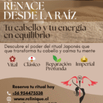 Spa Capilar Japonés